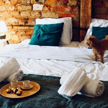 Appartamento Loft With View Koneser