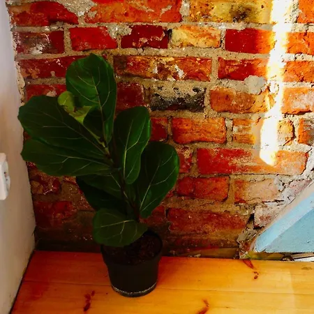 Loft With View Koneser * Pasym